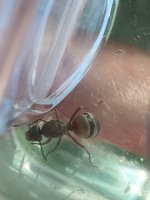 IMG_2206.jpeg