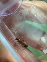 IMG_2210.jpeg