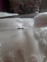 20230704_170606.jpg