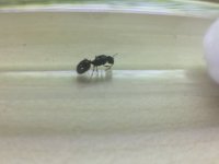 B6AE8639-809C-4BEE-94CA-58001D8F458F.jpeg