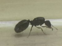 5E713686-BFC9-4001-90D9-F0110848F242.jpeg