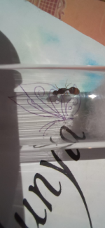 resim_2023-07-04_222739444.png