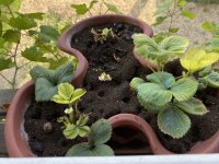 IMG_4057.jpeg
