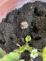 IMG_4054.jpeg