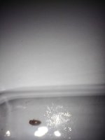 IMG_20230715_225721.jpg