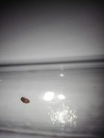 IMG_20230715_225718.jpg