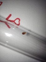 IMG_20230716_101817.jpg
