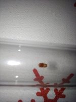IMG_20230716_101803.jpg
