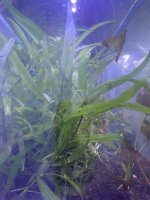 IMG_3457.jpeg