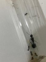 6ecb8b83-badf-47c8-af26-5e650cb7ec73.jpg