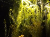 IMG_20230717_203907.jpg
