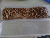 IMG20230718162248.jpg IMG20230718162248.jpg