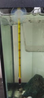 IMG_20230719_130943.jpg