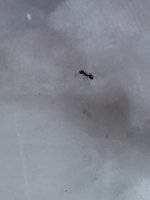 IMG_20230719_133400.jpg