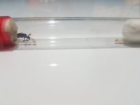 20230720_003642.jpg