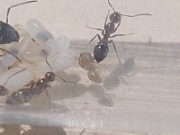 IMG-20230721-WA0004.jpg