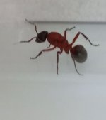 20230721_115132.jpg