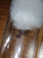 IMG_20230726_113355.jpg