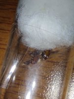 IMG_20230726_113353.jpg