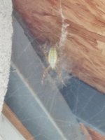 IMG_20230729_164332.jpg