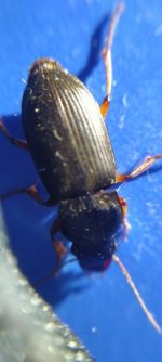 IMG20230807010726.jpg