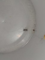 IMG_20230813_143527.jpg