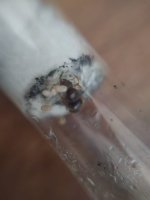 WhatsApp Image 2023-08-17 at 16.25.03.jpeg