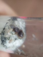 WhatsApp Image 2023-08-17 at 16.25.02.jpeg