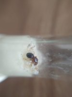 WhatsApp Image 2023-08-17 at 16.28.34.jpeg