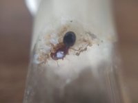 WhatsApp Image 2023-08-17 at 16.28.35.jpeg