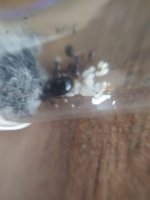 WhatsApp Image 2023-08-17 at 16.30.36.jpeg