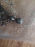 WhatsApp Image 2023-08-17 at 16.33.18 (2).jpeg