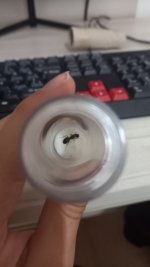 20220403_123534.jpg