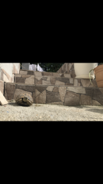 83771BE7-C634-498B-9CEC-16301E08F3C2.png