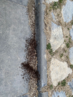 resim_2022-04-06_202203.png