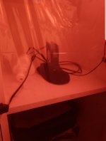 Screenshot_20220407-192622_Discord.jpg