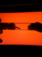 resim_2022-04-08_003251.png