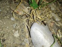IMG_20220410_203322.jpg