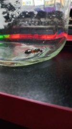 20230820_003722 (1).jpg