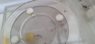 20230828_140630.jpg
