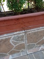 IMG_20230901_173524.jpg