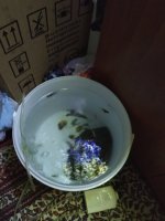 IMG_20230904_221432.jpg