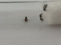 IMG_3344.jpeg