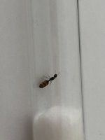 IMG_3343.jpeg