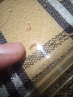 20231016_165451.jpg