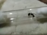 WhatsApp Image 2023-11-06 at 17.52.03 (1).jpeg