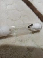 WhatsApp Image 2023-11-06 at 17.52.03.jpeg