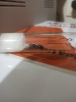 WhatsApp Image 2023-11-06 at 17.44.56.jpeg