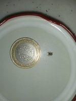 IMG_20231112_135214.jpg