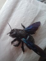 20230518_073027.jpg